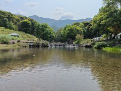 景点-广州市石门国家森林公园