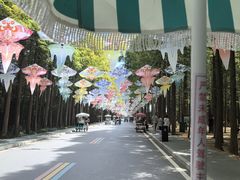 -日照海滨国家森林公园