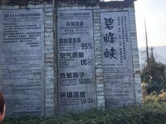 门面-碧峰峡风景区