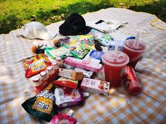 -南宁良凤江国家森林公园