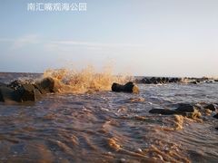 -南汇嘴观海公园