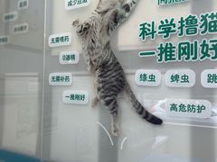 -美联众合动物医院·24h京西诊疗中心
