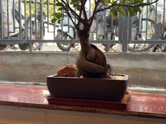 -西江美食舫·江西菜(健德桥店)