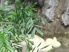 -上海大自然野生昆虫馆(东方明珠·爬宠昆虫探索中心)