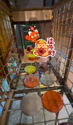 -卡通尼·Safari非洲探索乐园·生日会(金桥国际商业广场店)