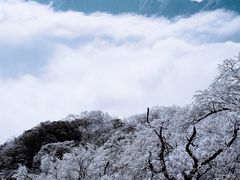 -梵净山旅游区