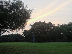 -南宁南湖公园