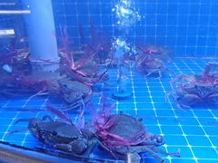 -领蟹祥记·香辣蟹·特色小海鲜(奥体天虹店)