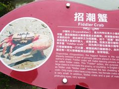 -北海金海湾红树林生态旅游区