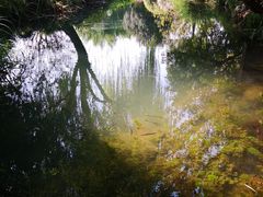 -乌镇望津里精品酒店