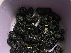 -惠源面包店(开禾路店)