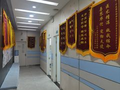 -中农国际动物医院24小时·猫科·骨科·急重症中心
