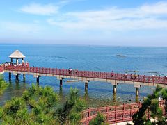 -养马岛旅游度假区