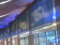 -半岛听涛蒸汽海鲜自助(K11店)