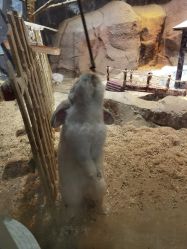 -酷嗒动物文化乐园(cutezoo西溪乐天城店)