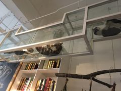 -娜娜家•Nana’Garden (福州道店)