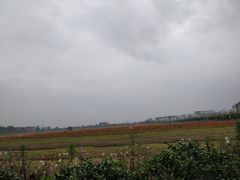 -湘湖金融镇