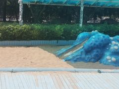 -南宫温泉水世界