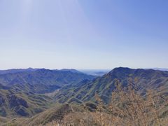 -大岭沟猕猴桃谷风景区