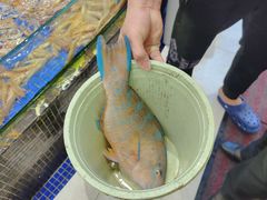 -欢乐海岸美食联盟