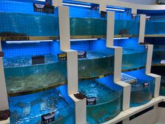 水产区-大金山酒店