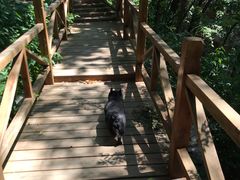 -大岭沟猕猴桃谷风景区