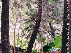 -嘉和K6温泉微度假