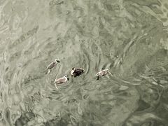 -长春市南湖公园