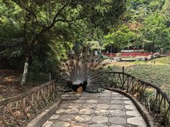 -昆明动物园