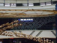 -银鲨国际美食百汇(金牛万达广场店)