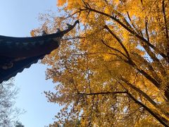 -汇龙潭