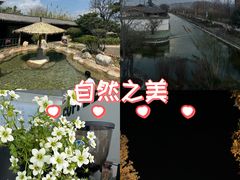 -大理地热国