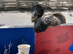 -水上乐园·欢乐世界