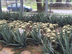 多利农庄有机体验馆-上海多利农业发展有限公司