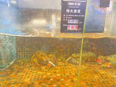 -海鲜e族(马王堆店)