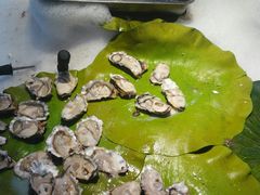 -澜悦港海鲜体验主题餐厅