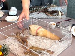 -遇外滩(BFC外滩金融中心店)