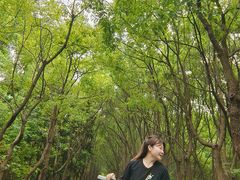 -同里国家湿地公园