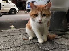 -邓记新一代糖油果子(四川煤管局供销公司职工宿舍店)