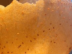 -吴越荣记苏州菜·松鼠桂鱼(月光码头店)