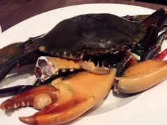 -协成海鲜火锅(海洋花园店)