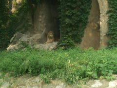 狮山-北京动物园