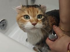 -FAELING PETS美天灵宠物(富力广场店)