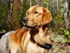 景点-玉渡山自然风景区