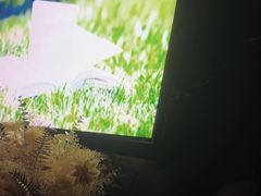 -黑桃K生日订制KTV