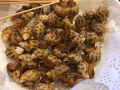 -翔雄农庄
