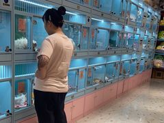 -FAELING PETS美天灵宠物(合生汇店)