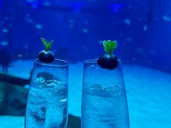 -上海海昌海洋公园