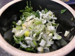 葱花香菜料-挂雪铁锅炖大鹅