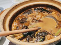 崂山菇炒五花肉-船歌·鱼水饺青岛菜(金狮广场店)